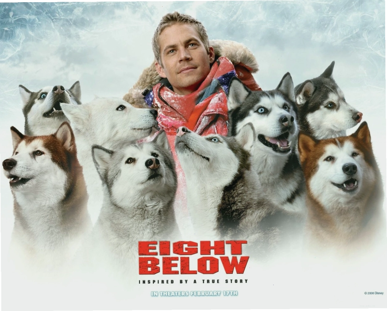 Âm 8 độ - Eight Below (2006)