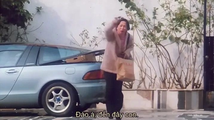 Ảnh bìa phim "Gái Mới Lớn - Trái Chín Thì Hái" phát hành năm 1997