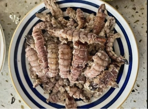 Bảng so sánh dinh dưỡng của các loại hải sản