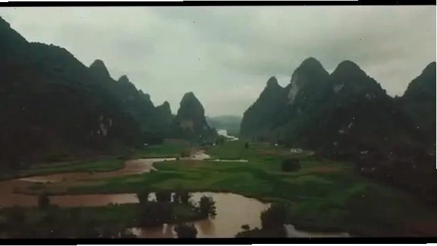 Brad Bird tại một sự kiện điện ảnh