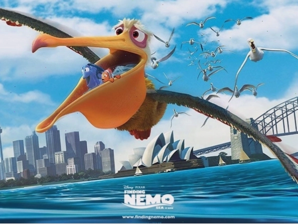 Cá hề Nemo bố mẹ chăm sóc trứng