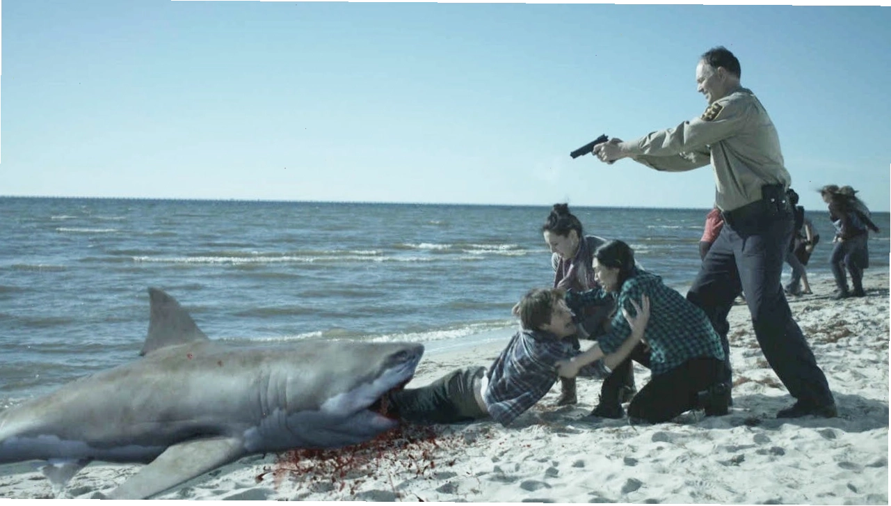 Cá mập xác sống Zombie Shark đang tấn công con mồi.