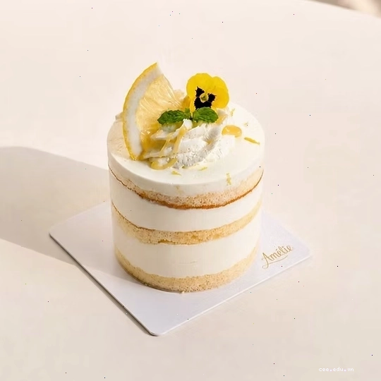 Các loại bánh mini với nhiều màu sắc và hương vị hấp dẫn