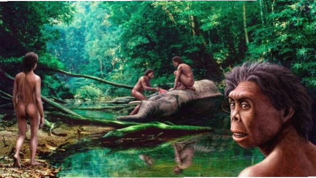Các nhà khoa học Úc cho rằng người Hobbit có liên quan đến Homo habilis