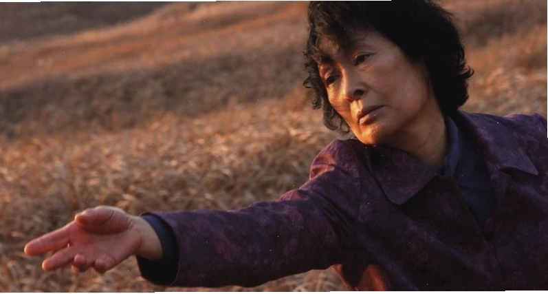 Cảm nhận phim Mother 2009 và những dấu ấn của Bong Joon-ho