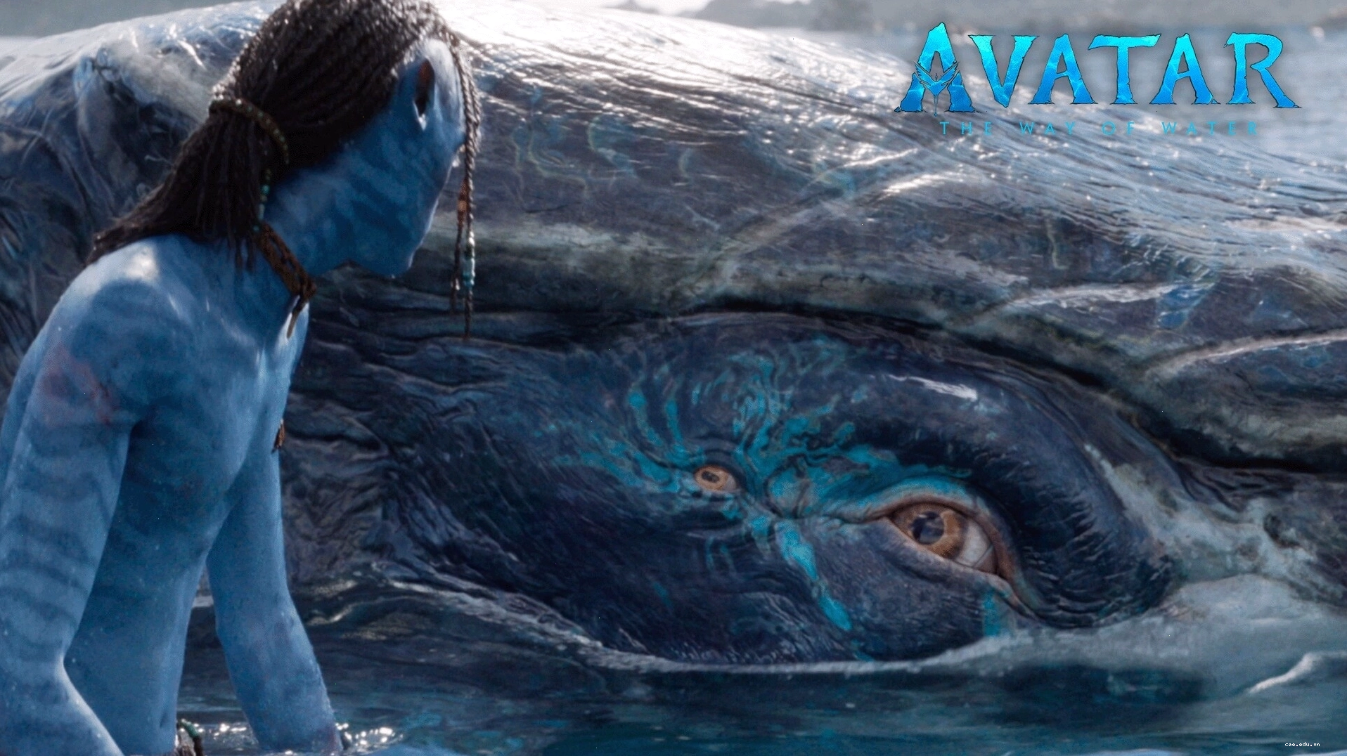 Cảnh phim Avatar: The Way of Water thể hiện tình bạn đặc biệt