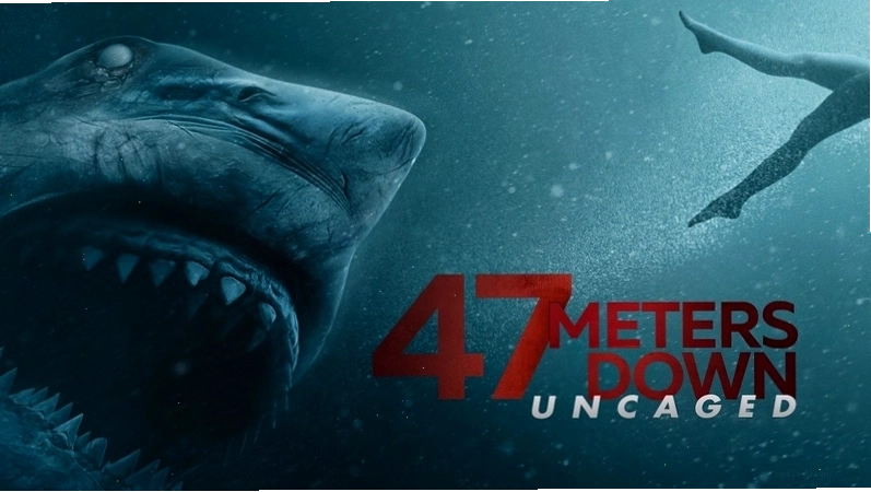 Cảnh quay đẹp mắt trong phim Life of Pi