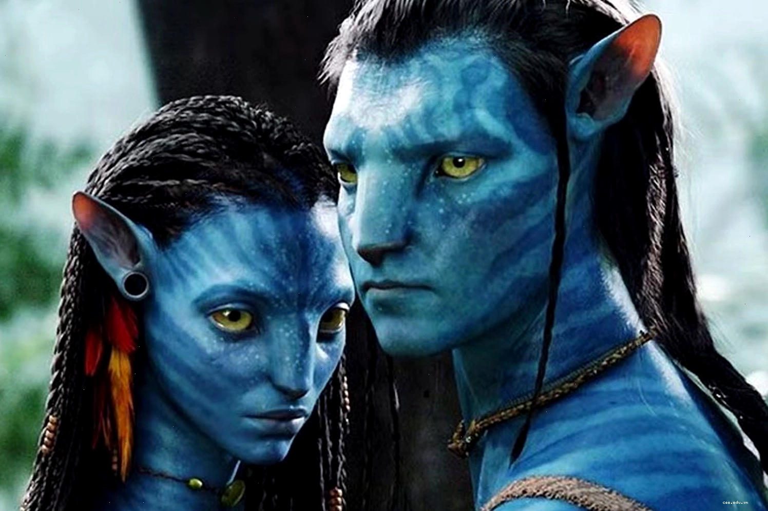 Cặp đôi Jake và Neytiri trong phim Avatar
