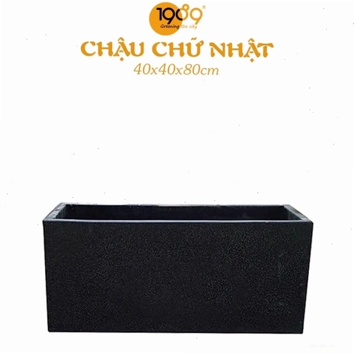 Cây ngũ gia bì với lá xanh mướt và thân cây khỏe mạnh