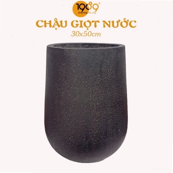Chậu cây ngũ gia bì nhỏ xinh đặt trên bệ cửa sổ