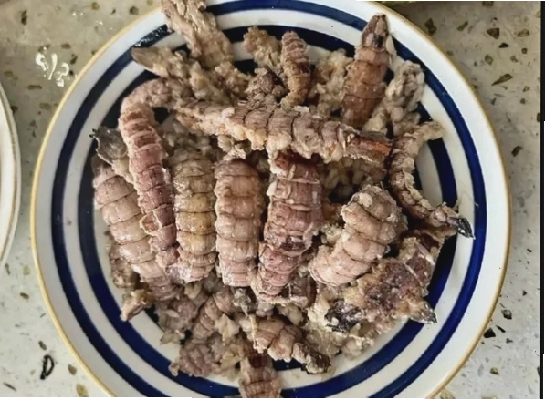 Chọn bề bề tươi ngon tại chợ hải sản