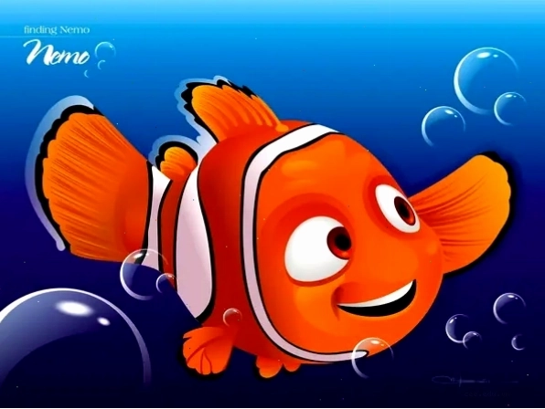 Chú cá hề Nemo với màu sắc cam rực rỡ và sọc đen trắng đặc trưng