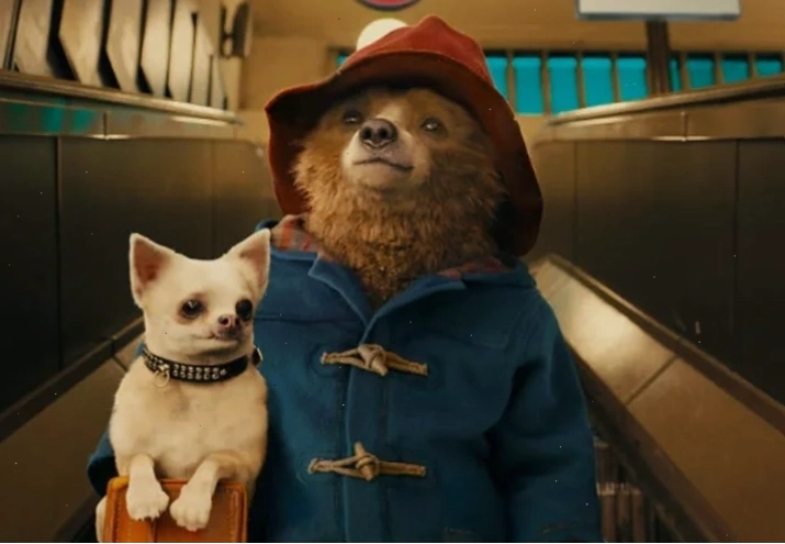Chú gấu Paddington trong bộ phim hài hước gia đình