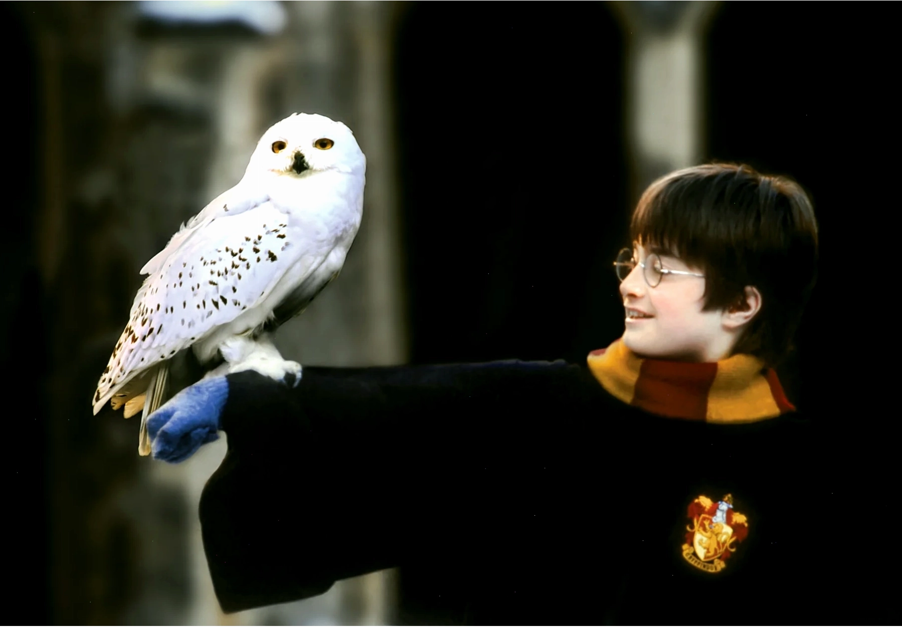 Dàn diễn viên Harry Potter trên thảm đỏ