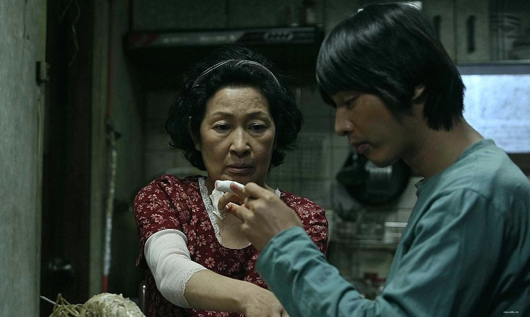 Diễn viên Kim Hye Ja và Won Bin trong phim Mother