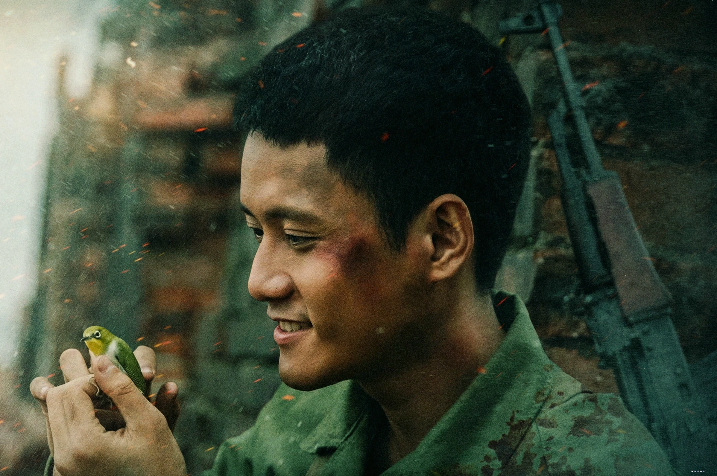 Diễn viên phim Mưa Đỏ