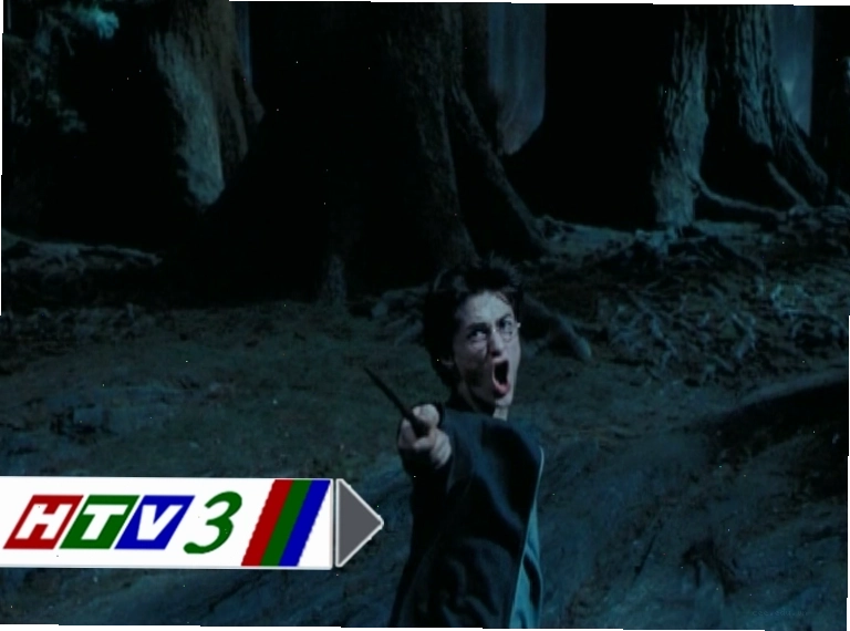 Harry Potter, Ron và Hermione đối mặt với sinh vật Hắc Mã trong phim