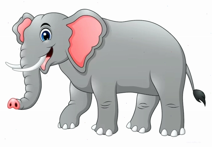 Hoạt họa voi dễ thương