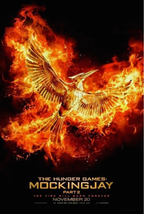 Katniss Everdeen tập luyện bắn cung