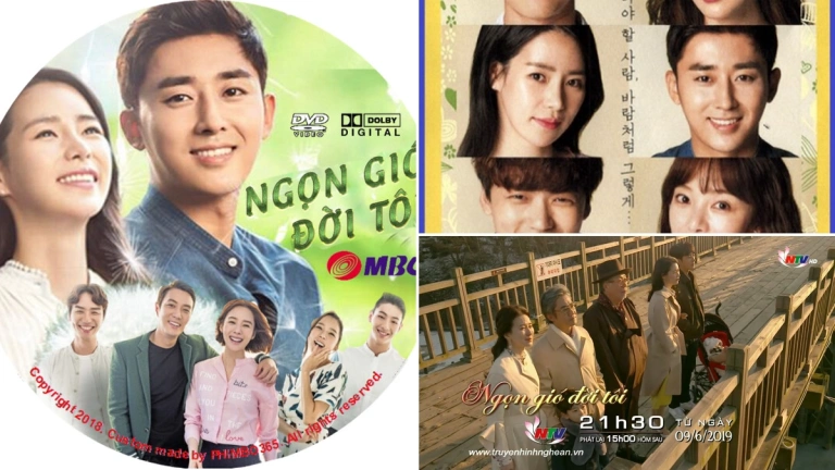 Khám Phá "Ngọn Gió Đời Tôi": Hành Trình Tình Yêu Đầy Sóng Gió