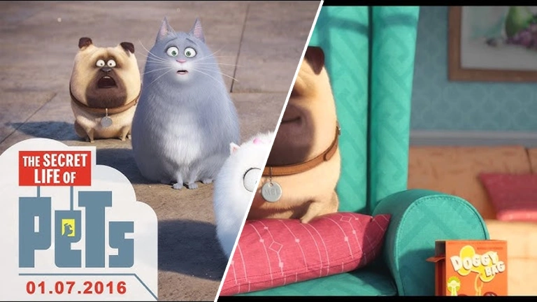 Khám phá Thế giới Đẳng cấp Thú cưng: Cuộc sống bí mật của những người bạn bốn chân