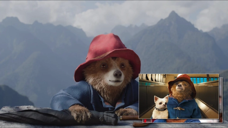 Khám phá thế giới kỳ diệu của Chú Gấu Paddington