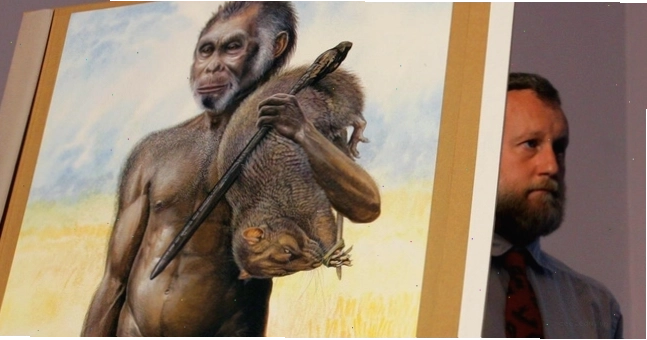 Người Hobbit trong phim ảnh và sự liên quan đến Homo floresiensis