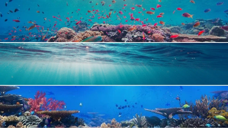 Phim Kẻ Săn Mồi Đáy Biển Underwater: Review chi tiết và phụ đề vietsub