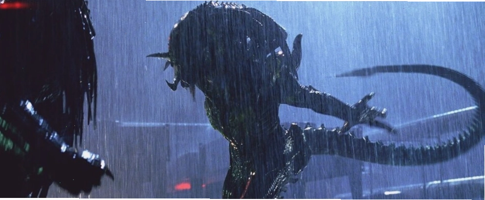 Predator và Alien, lịch sử đối đầu đẫm máu của 2 chủng tộc ngoài hành tinh được hâm mộ nhất trên màn ảnh - Ảnh 4.