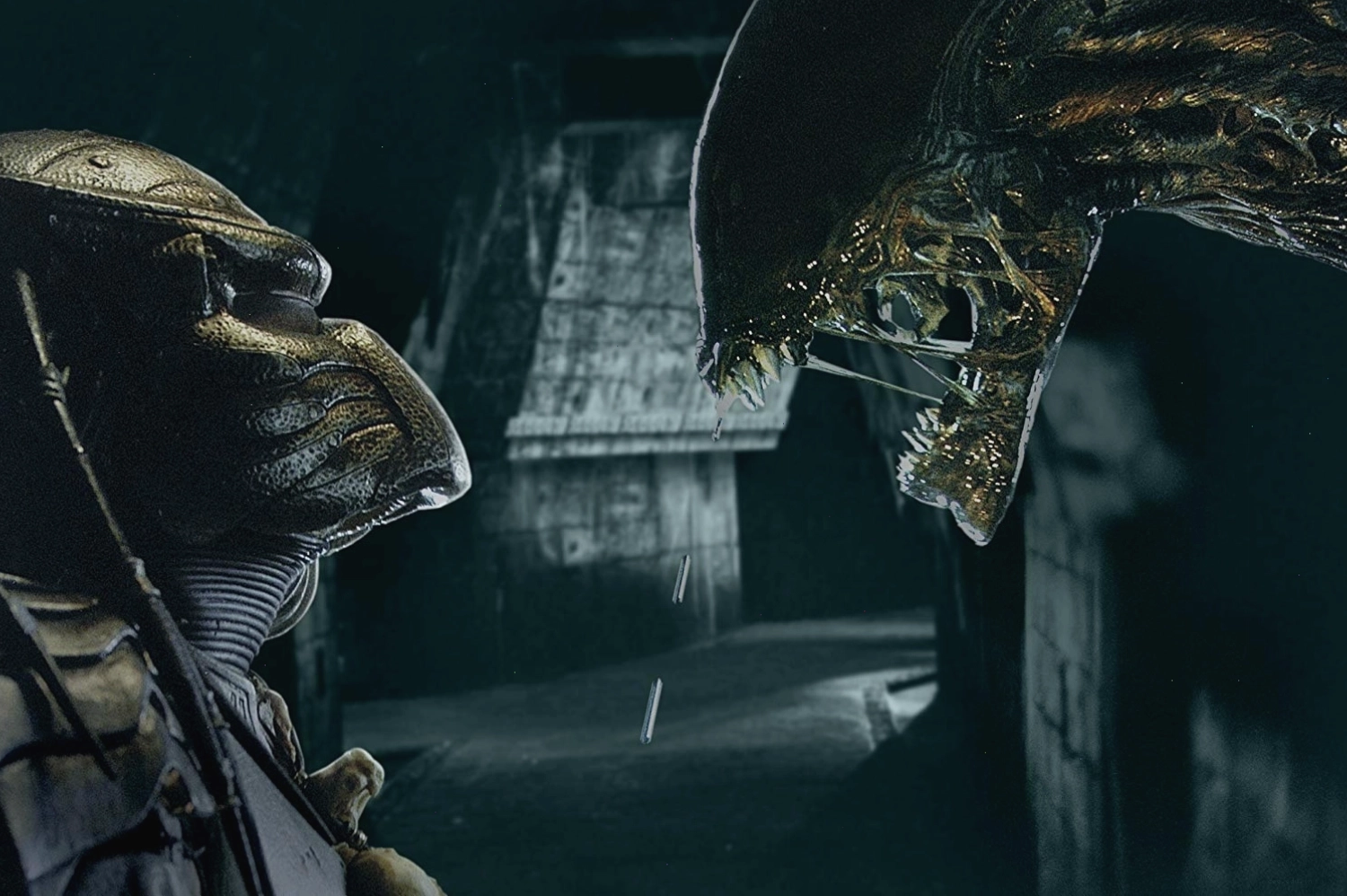Predator và Alien, lịch sử đối đầu đẫm máu của 2 chủng tộc ngoài hành tinh được hâm mộ nhất trên màn ảnh - Ảnh 3.