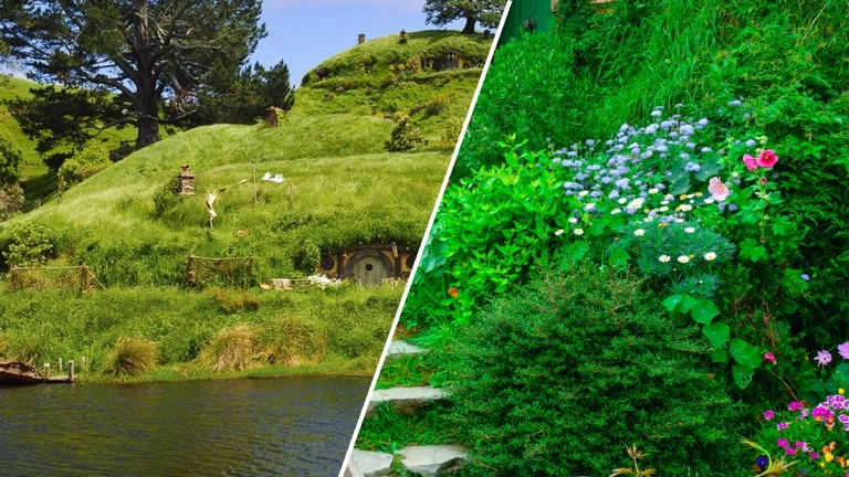 The Shire: Vùng đất Hobbition và những điều kỳ diệu