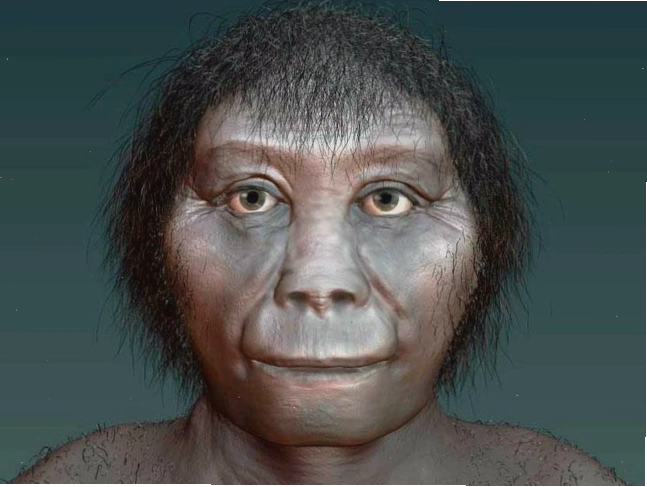 Tỉ lệ liên quan giữa Homo sapiens và Hobbit là cực kỳ thấp