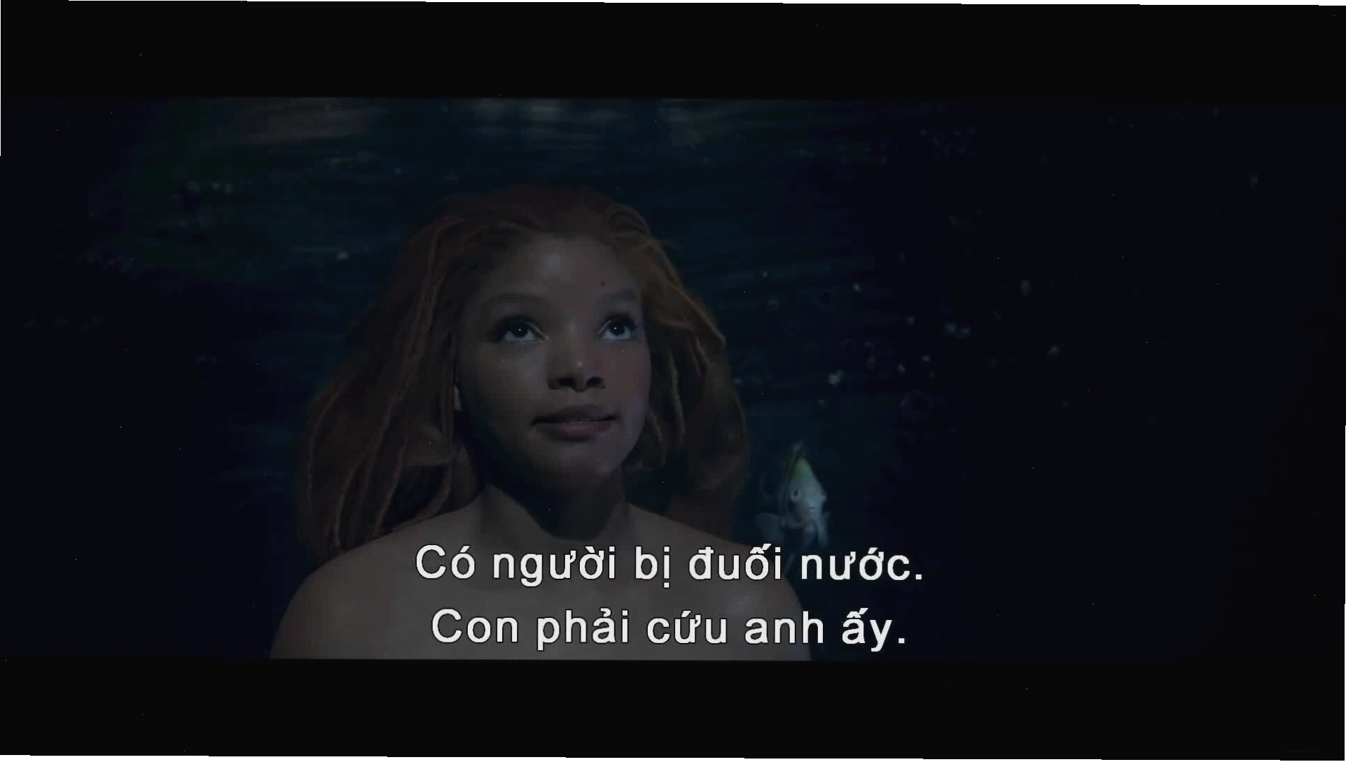 Trailer phim The Little Mermaid 2023