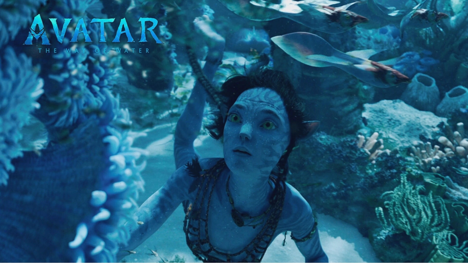 Xem Avatar: The Way of Water dưới định dạng 3D